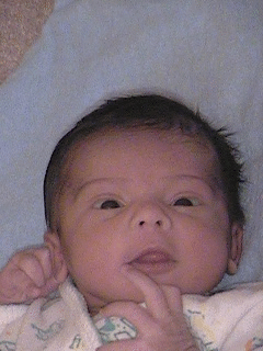 Photo of Harini